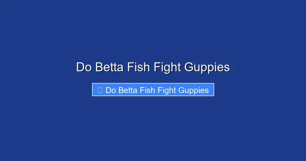Do Betta Fish Fight Guppies