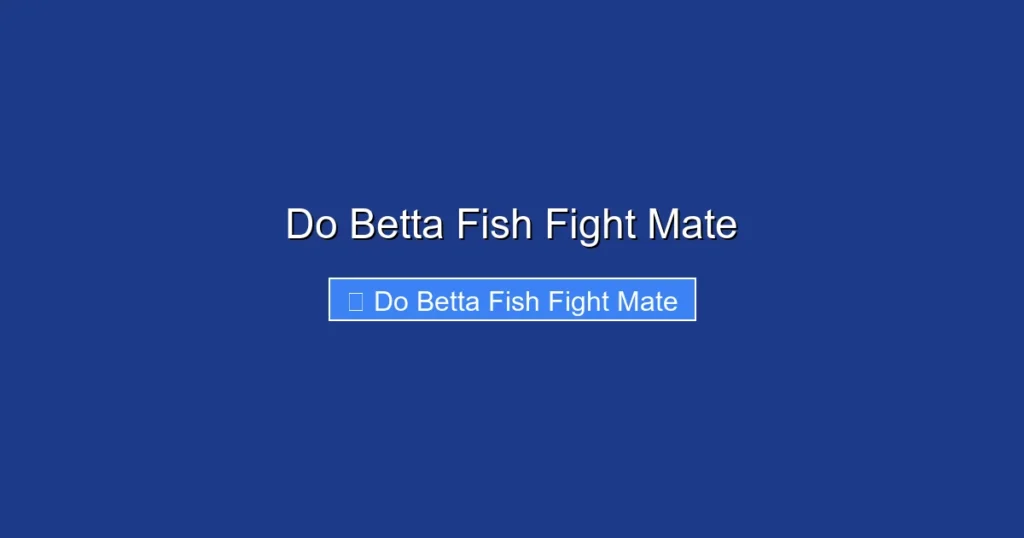 Do Betta Fish Fight Mate