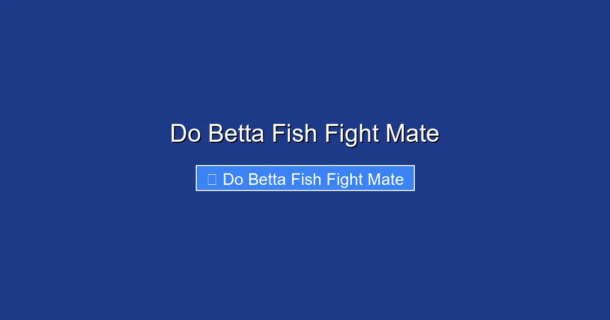 Do Betta Fish Fight Mate