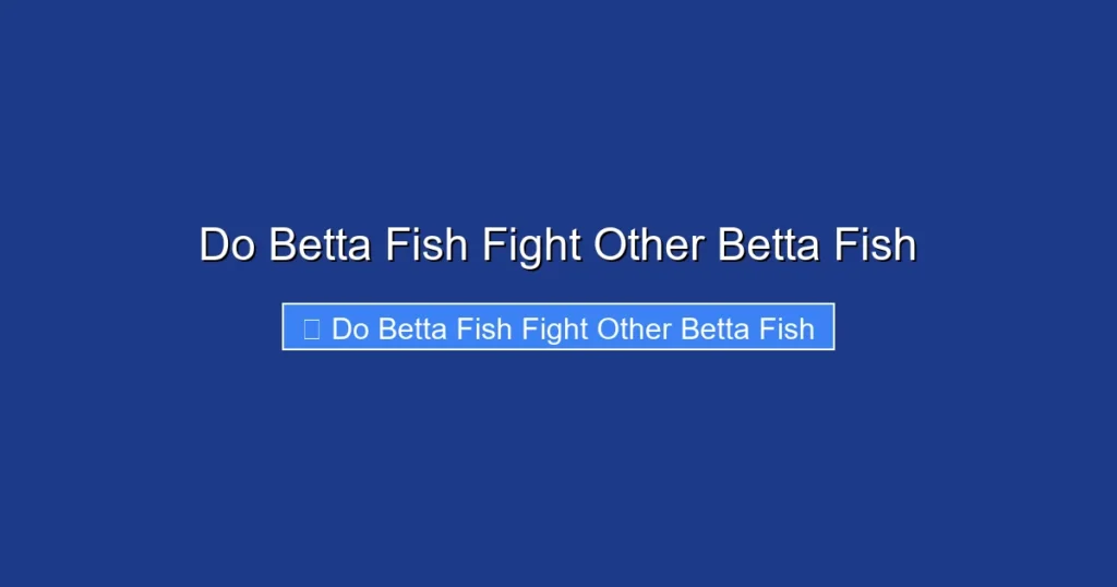 Do Betta Fish Fight Other Betta Fish