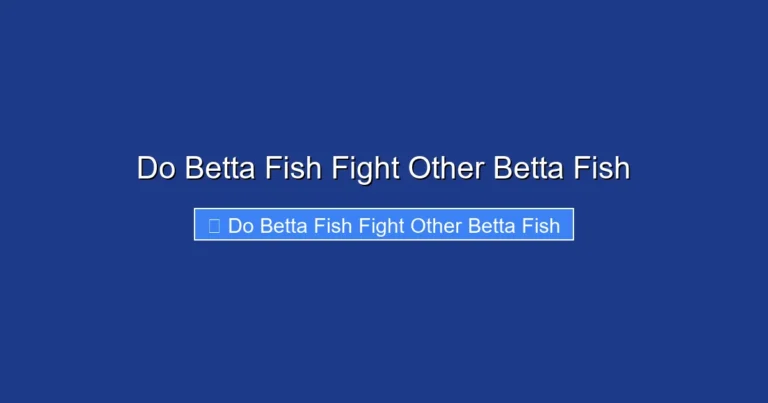 Do Betta Fish Fight Other Betta Fish