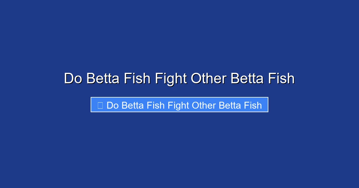 Do Betta Fish Fight Other Betta Fish