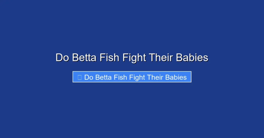 Do Betta Fish Fight Their Babies