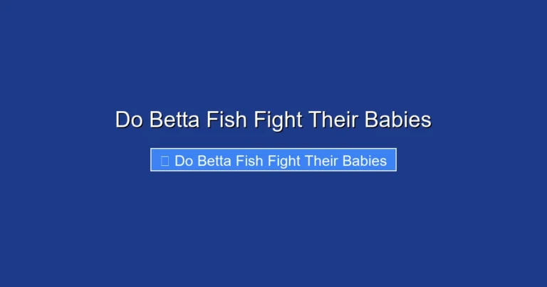 Do Betta Fish Fight Their Babies