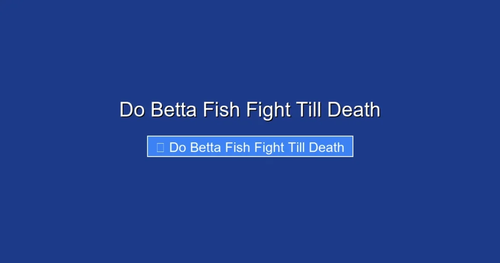 Do Betta Fish Fight Till Death