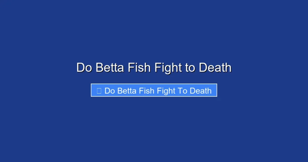 Do Betta Fish Fight to Death