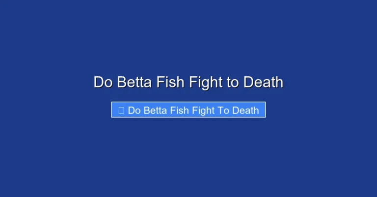 Do Betta Fish Fight to Death