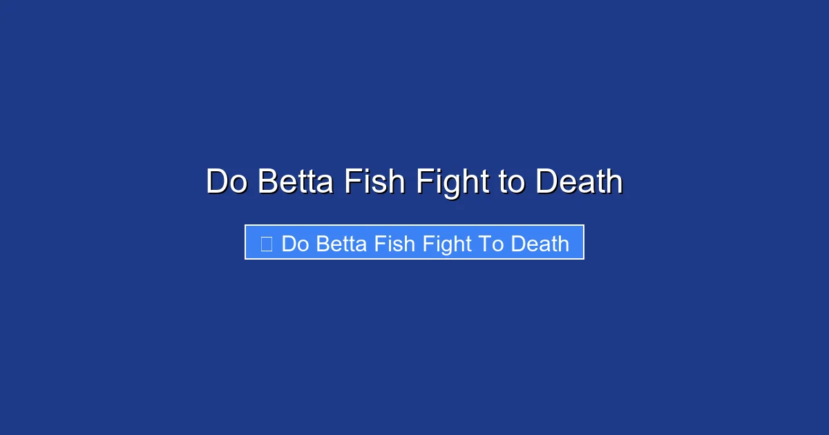 Do Betta Fish Fight to Death