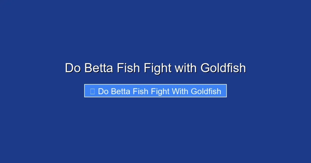 Do Betta Fish Fight with Goldfish