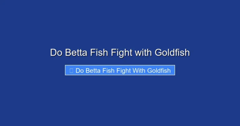Do Betta Fish Fight with Goldfish