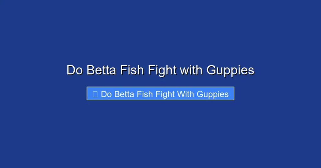 Do Betta Fish Fight with Guppies