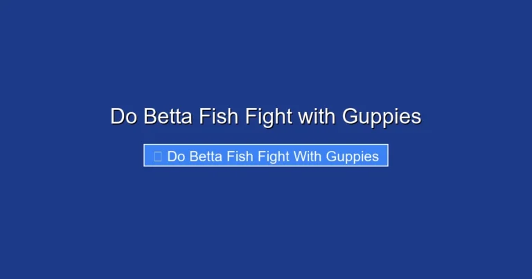 Do Betta Fish Fight with Guppies