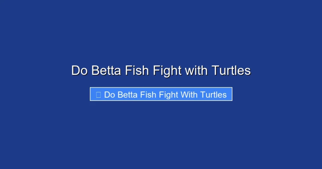 Do Betta Fish Fight with Turtles