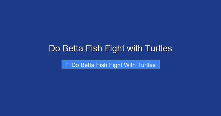 Do Betta Fish Fight with Turtles