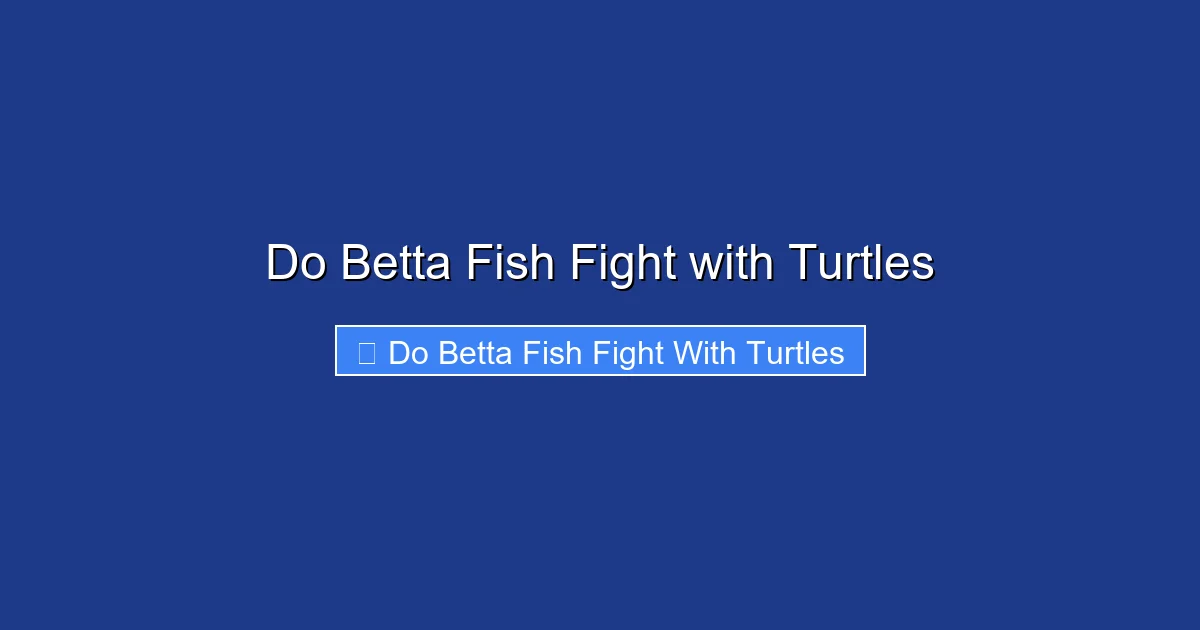 Do Betta Fish Fight with Turtles