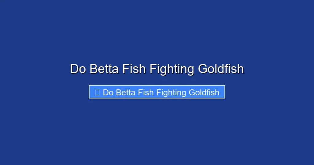 Do Betta Fish Fighting Goldfish