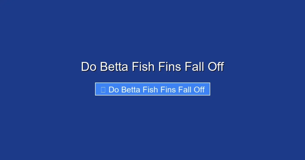 Do Betta Fish Fins Fall Off