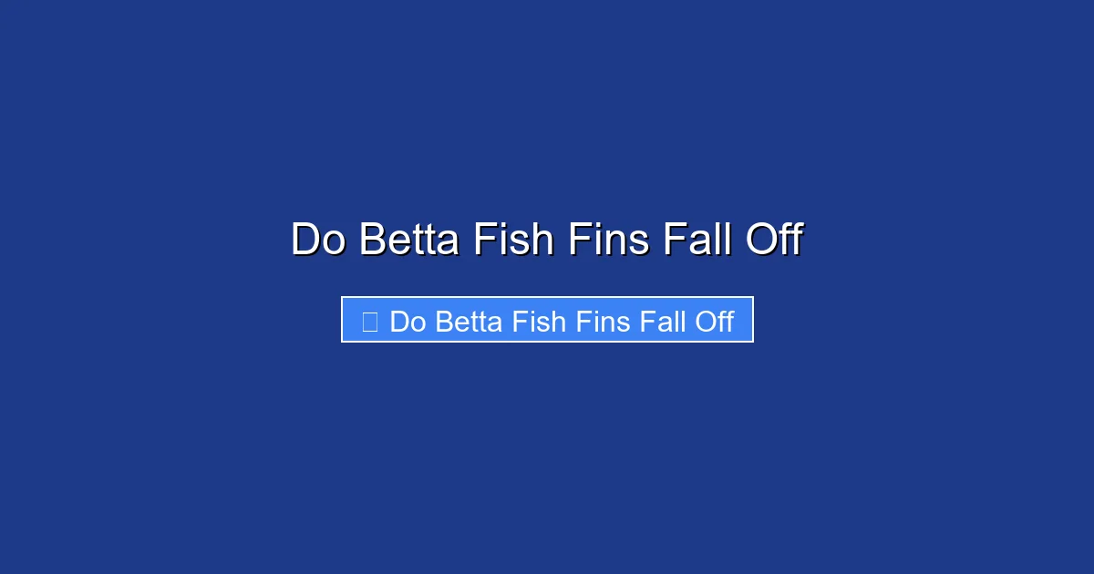 Do Betta Fish Fins Fall Off