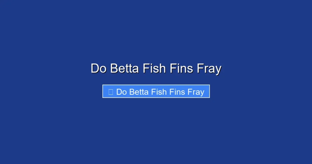 Do Betta Fish Fins Fray