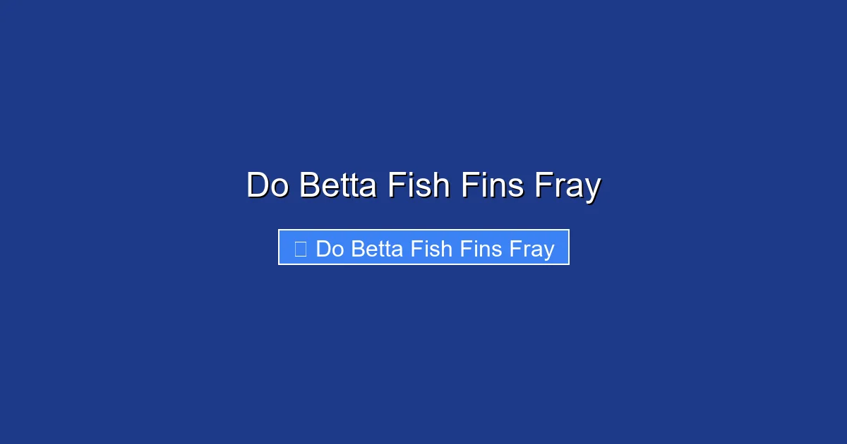 Do Betta Fish Fins Fray