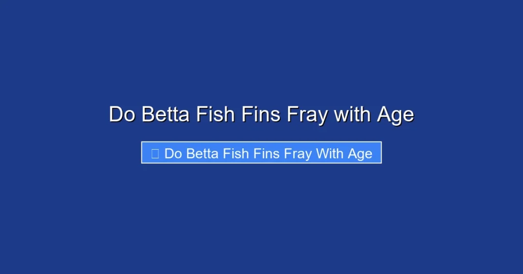 Do Betta Fish Fins Fray with Age