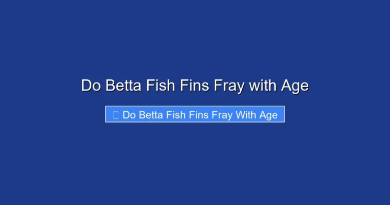 Do Betta Fish Fins Fray with Age