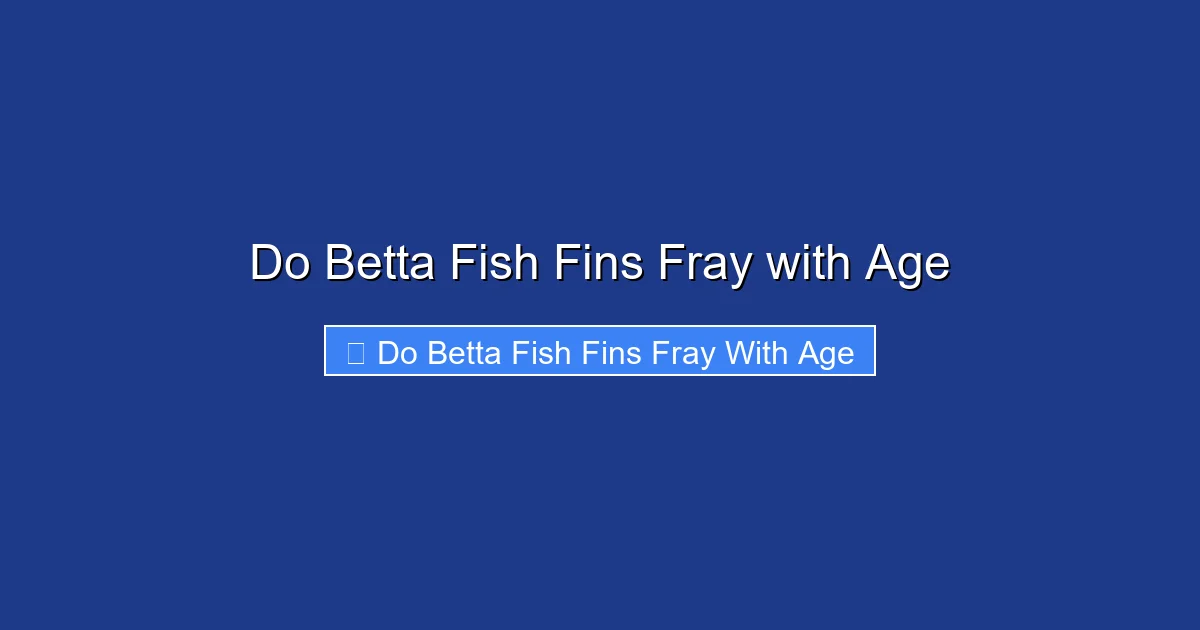 Do Betta Fish Fins Fray with Age