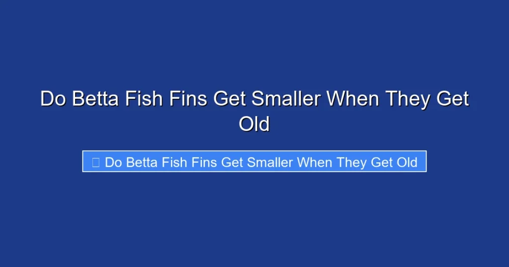 Do Betta Fish Fins Get Smaller When They Get Old