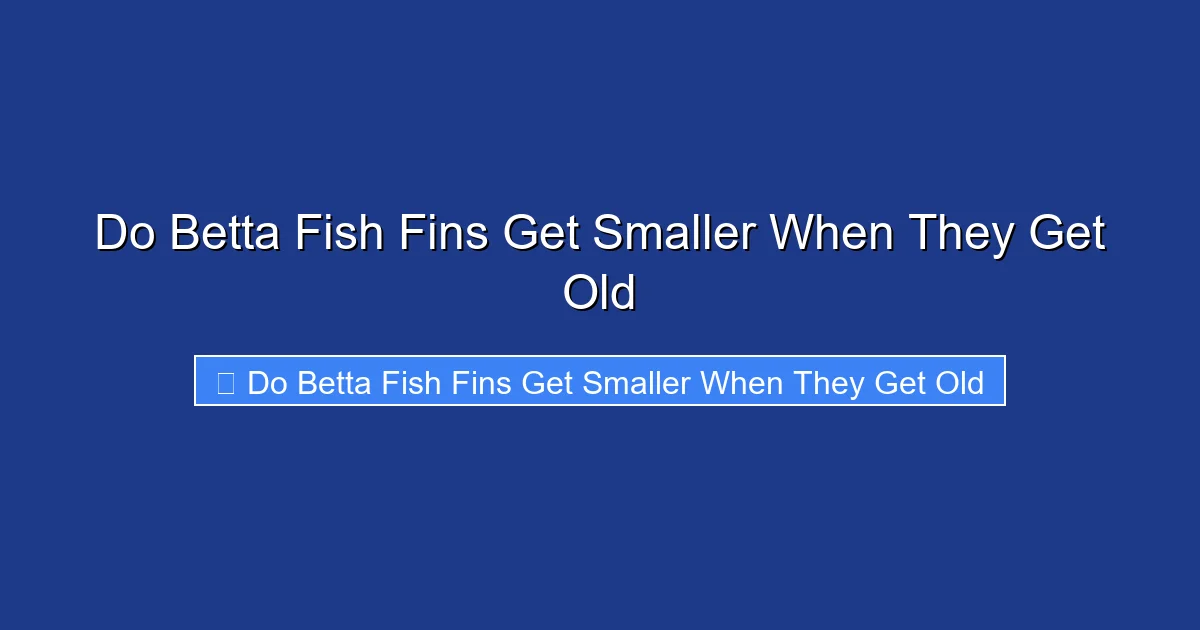 Do Betta Fish Fins Get Smaller When They Get Old
