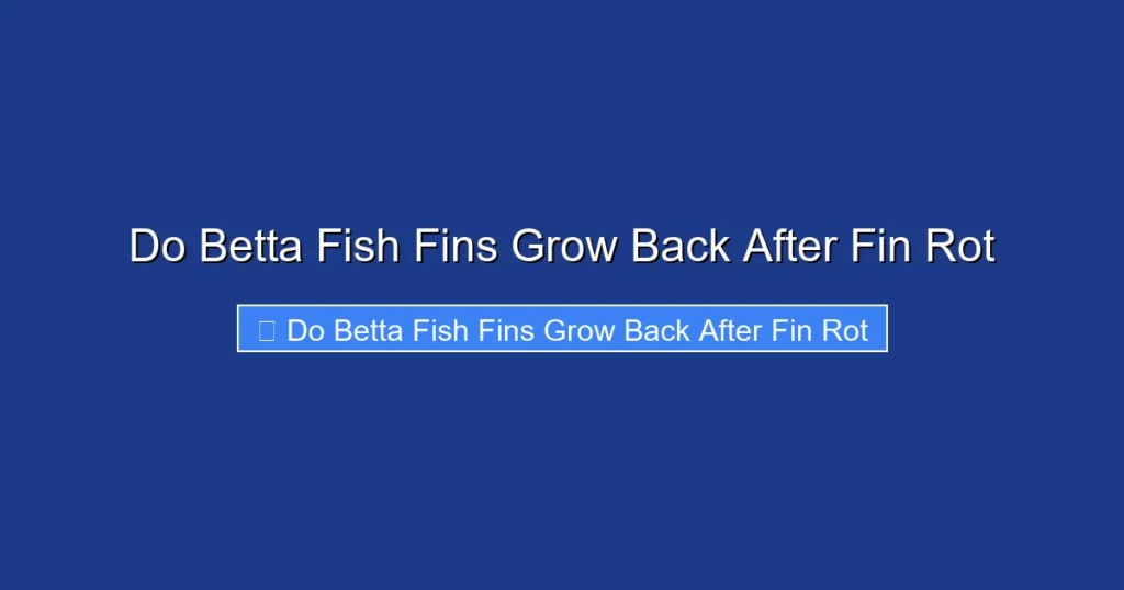 Do Betta Fish Fins Grow Back After Fin Rot