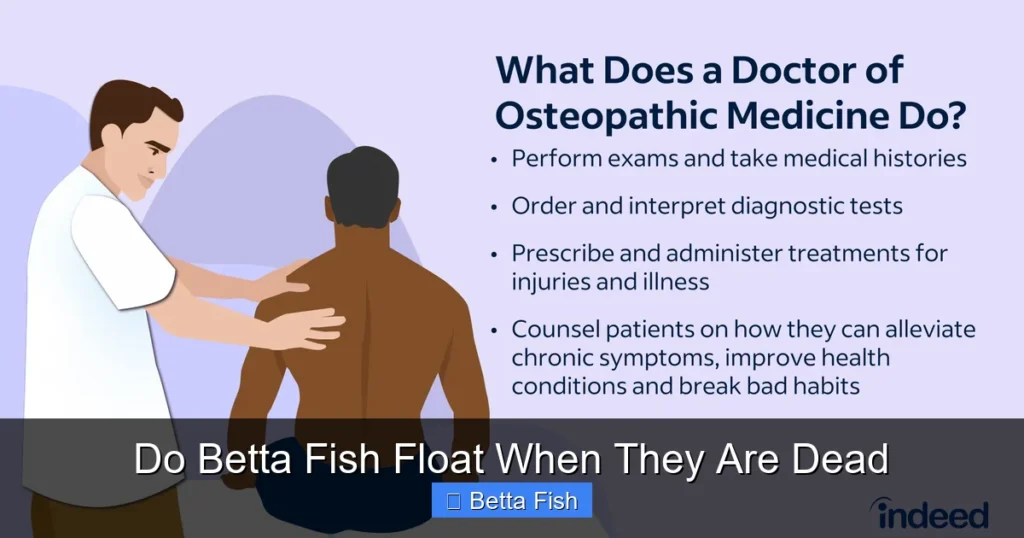 Do Betta Fish Float When They Are Dead