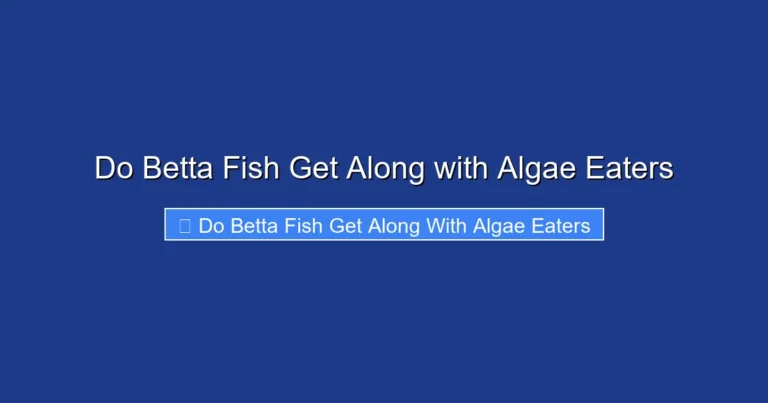 Do Betta Fish Get Along with Algae Eaters