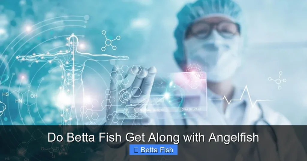 Do Betta Fish Get Along with Angelfish