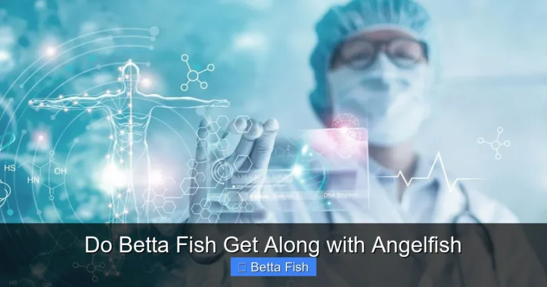 Do Betta Fish Get Along with Angelfish