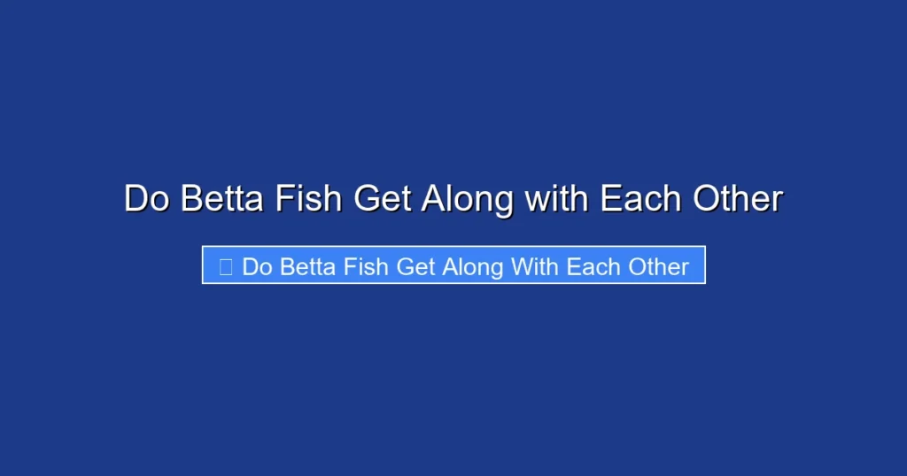Do Betta Fish Get Along with Each Other