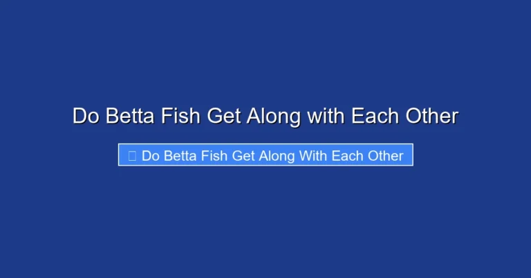 Do Betta Fish Get Along with Each Other