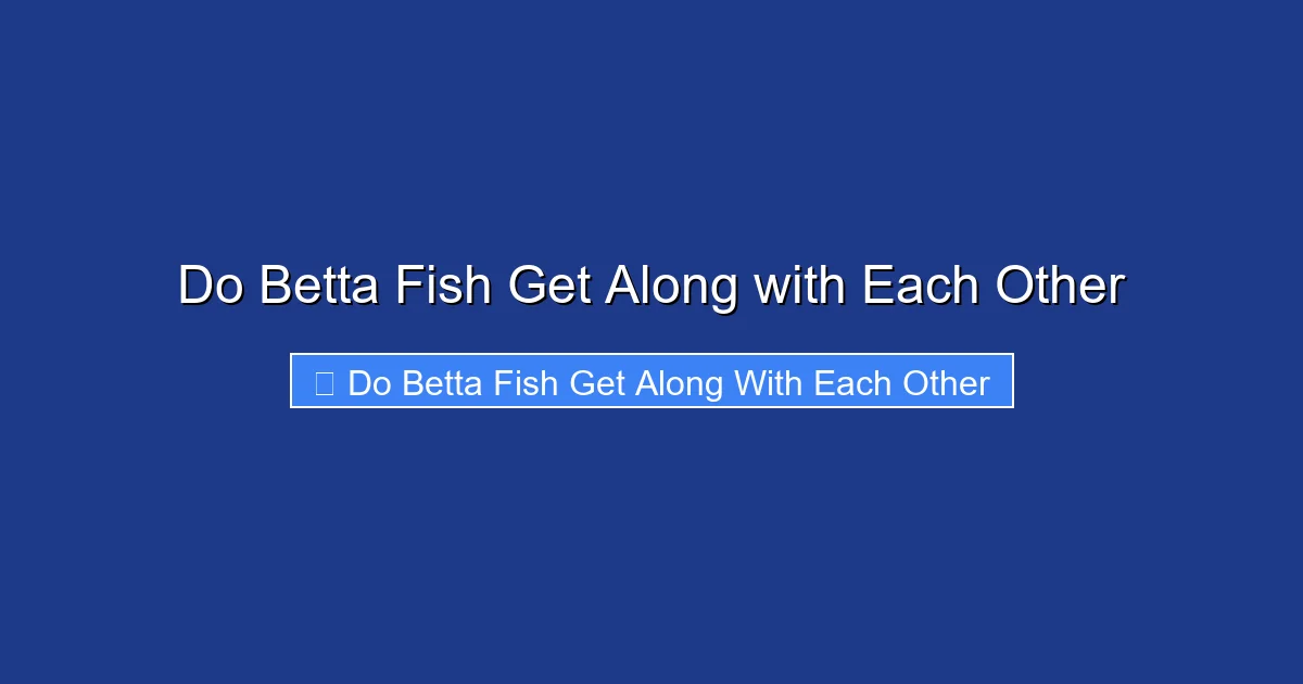 Do Betta Fish Get Along with Each Other
