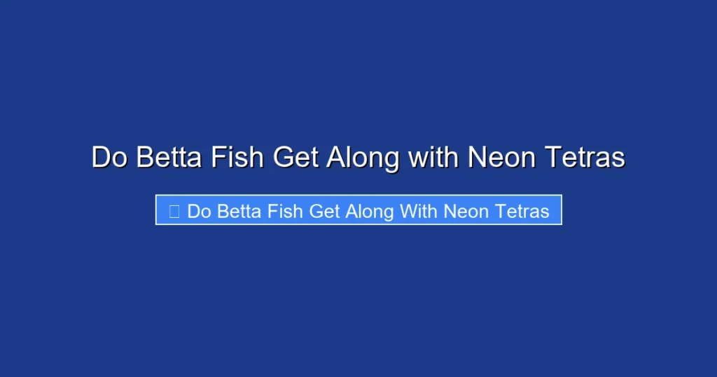 Do Betta Fish Get Along with Neon Tetras