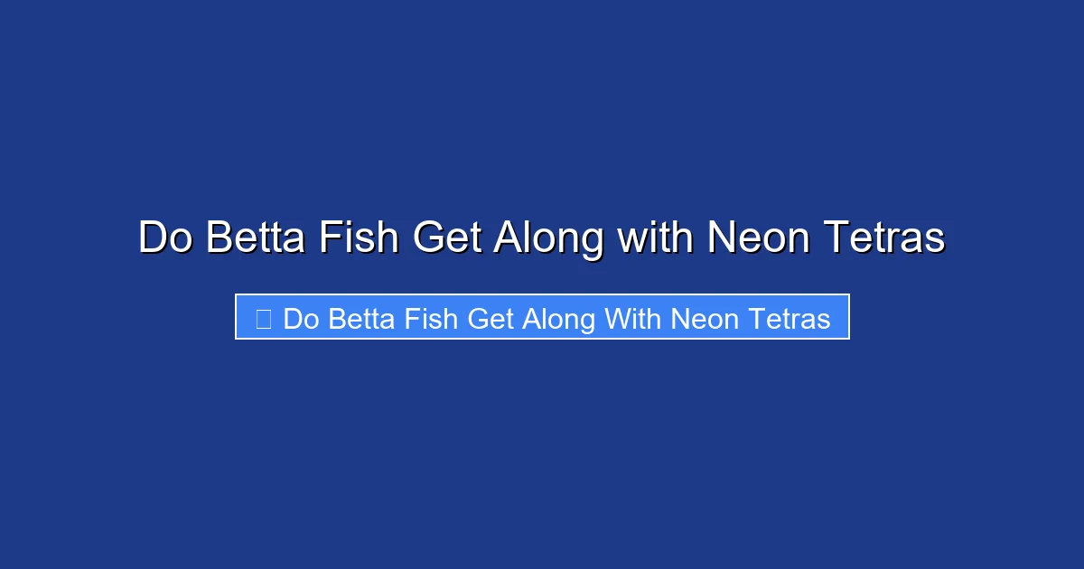 Do Betta Fish Get Along with Neon Tetras