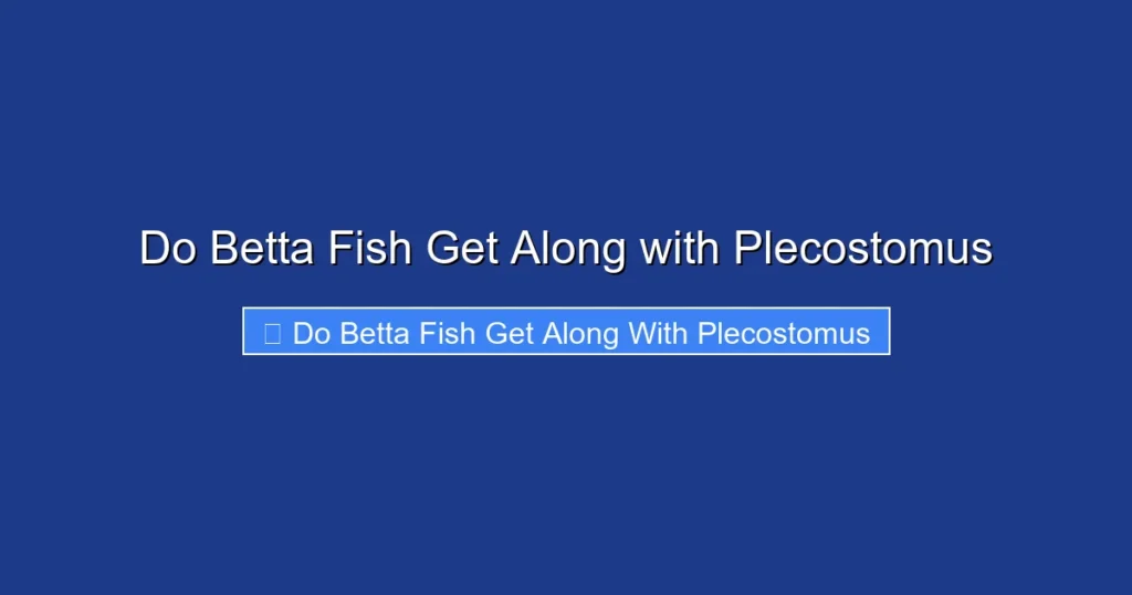 Do Betta Fish Get Along with Plecostomus