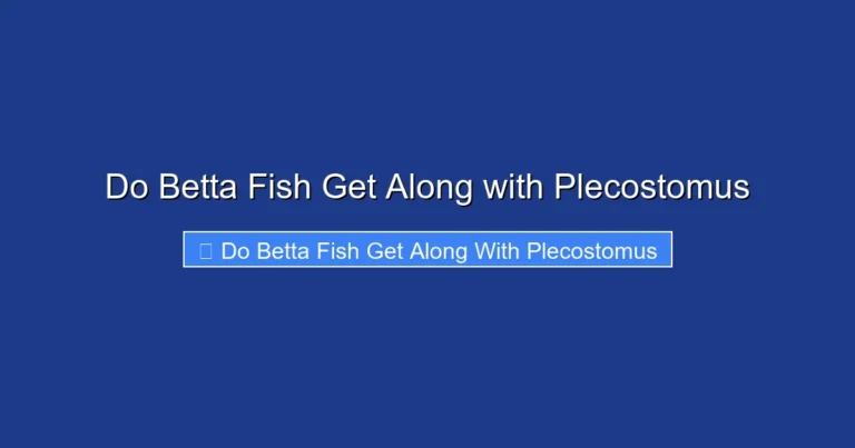 Do Betta Fish Get Along with Plecostomus