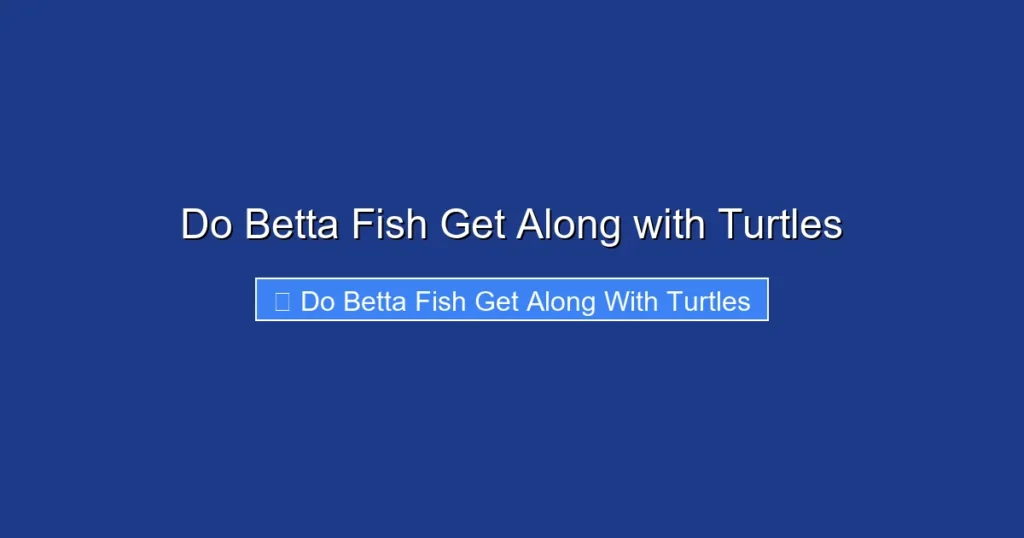 Do Betta Fish Get Along with Turtles