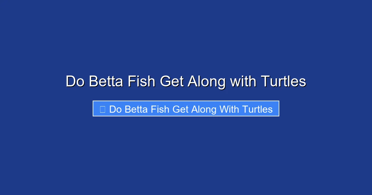 Do Betta Fish Get Along with Turtles
