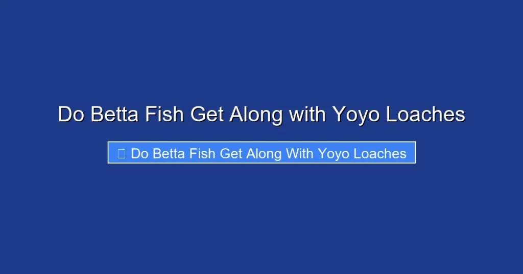 Do Betta Fish Get Along with Yoyo Loaches