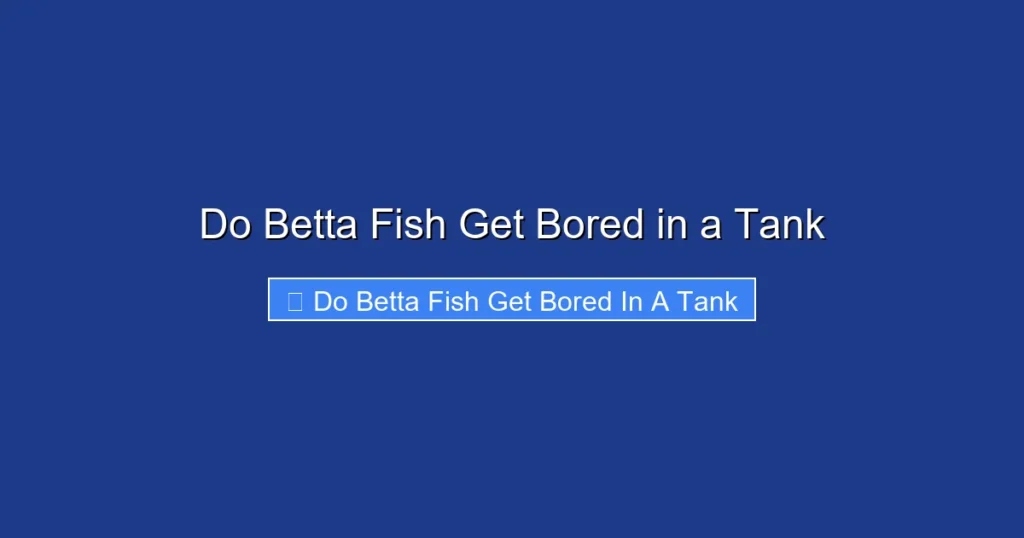 Do Betta Fish Get Bored in a Tank