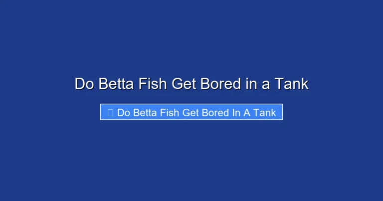 Do Betta Fish Get Bored in a Tank