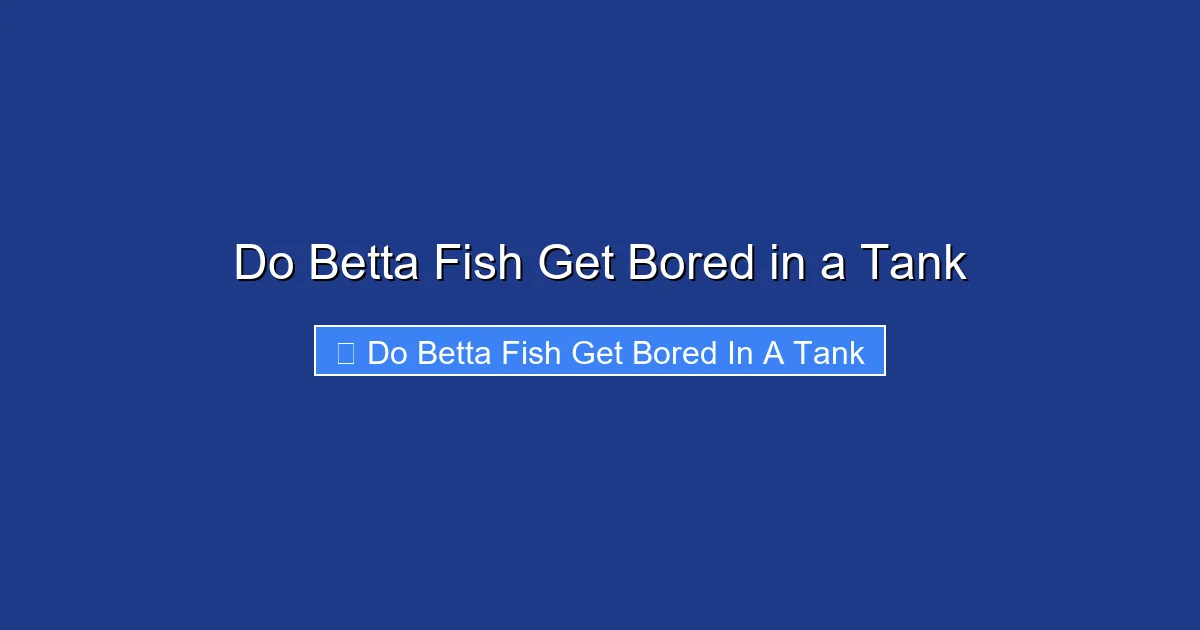 Do Betta Fish Get Bored in a Tank