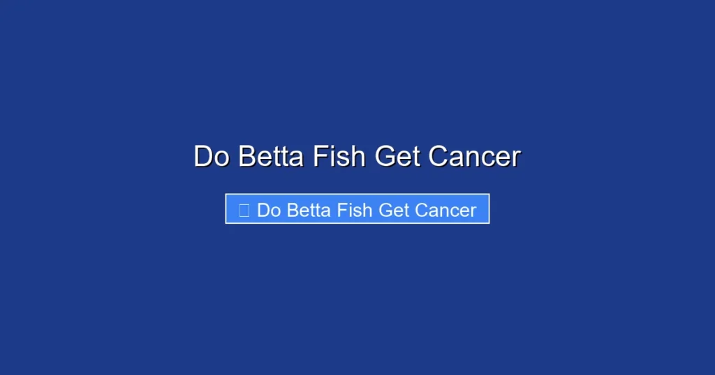 Do Betta Fish Get Cancer