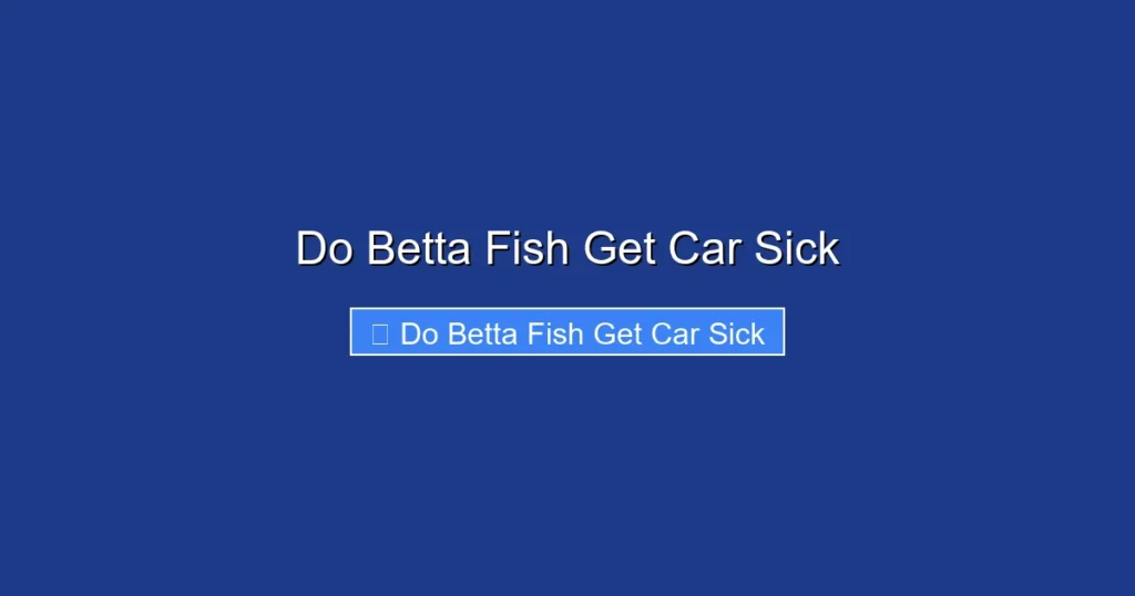Do Betta Fish Get Car Sick