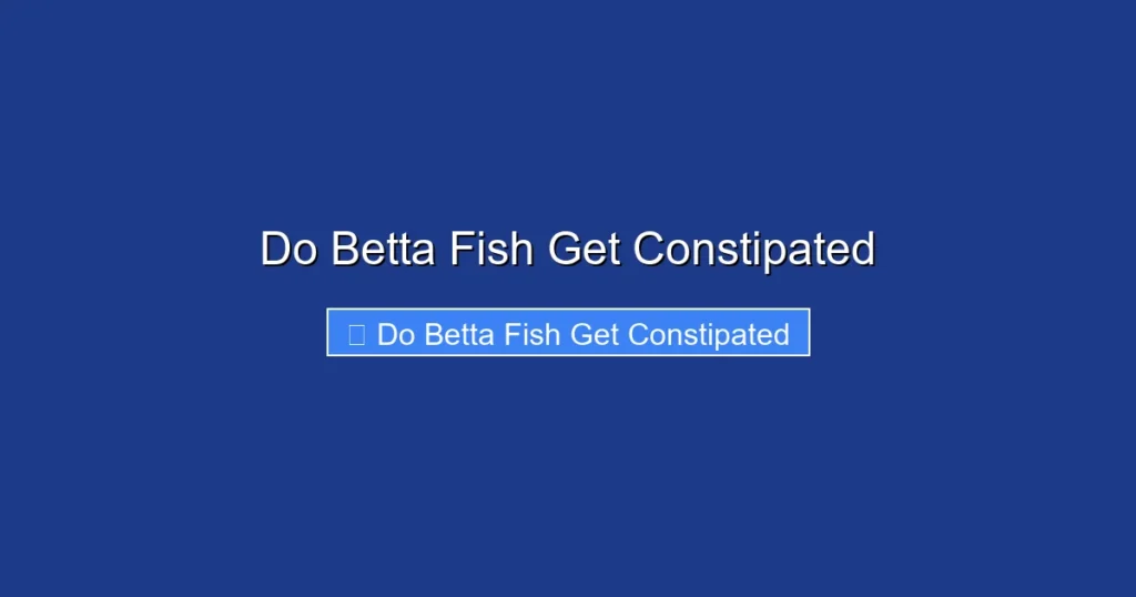 Do Betta Fish Get Constipated
